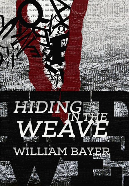 Hiding the Weave by William Bayer