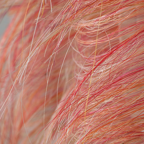 Marianne Kemp Red Fody cotton, horsehair, acrylic  53” x 20” x 3” 2013. Photo by Tom Grotta
