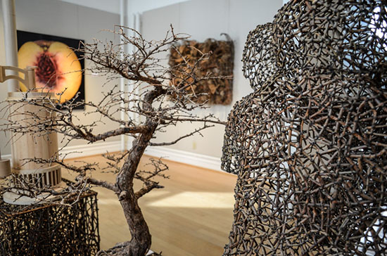 From the Ground Up: ART inspired by Nature installation, Gyöngy Laky, Jane Balsgaard, Photo by tom Grotta