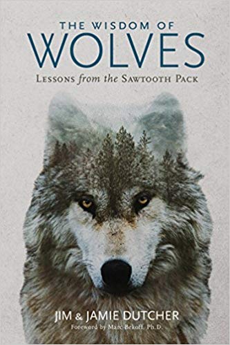 The Wisdom of Wolves