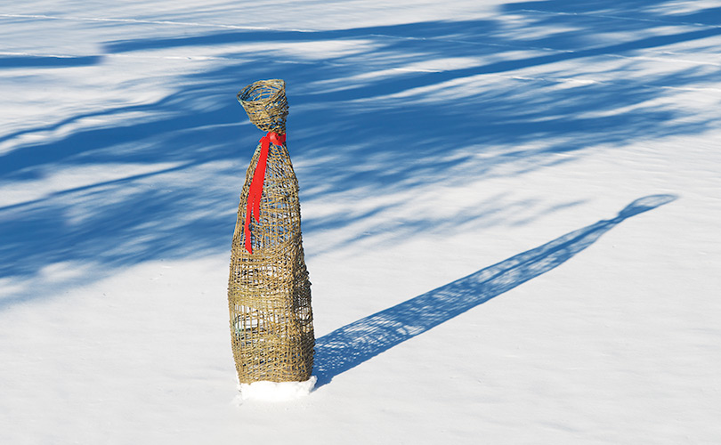 Bronze sculpture by Dawn MacNutt