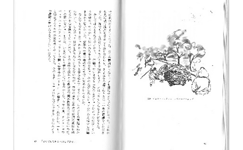 John Mcqueen illustration