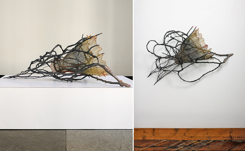 Venus Trapped, Norma Minkowitz ON AND OFF THE WALL