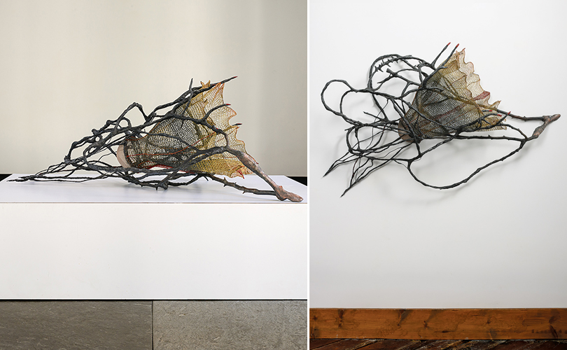 Venus Trapped by Norma Minkowitz on and off the wall