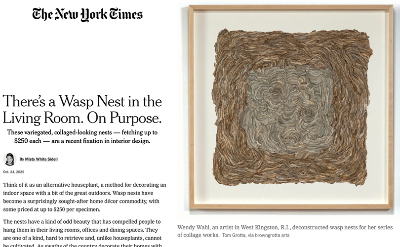 The New York Times, publishes “There’s a Hornet’s Nest in the Living Room. On Purpose