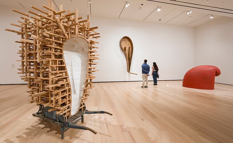 Martin Puryear: Nexus
